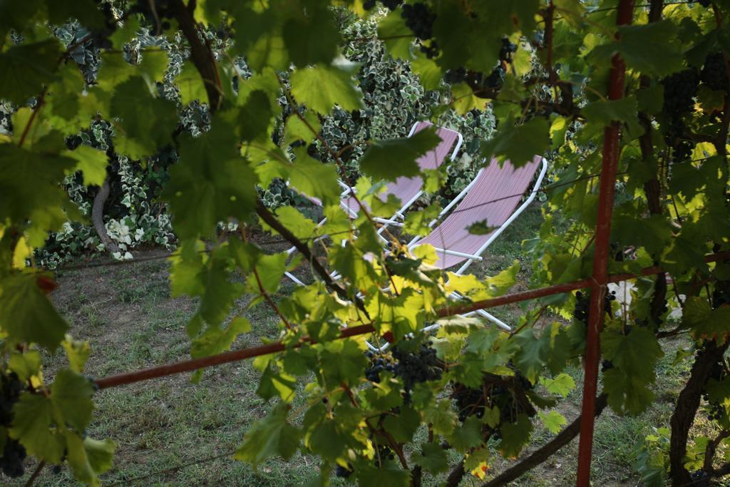 Kucica Ljubcek Villa Privlaka  Kamer foto